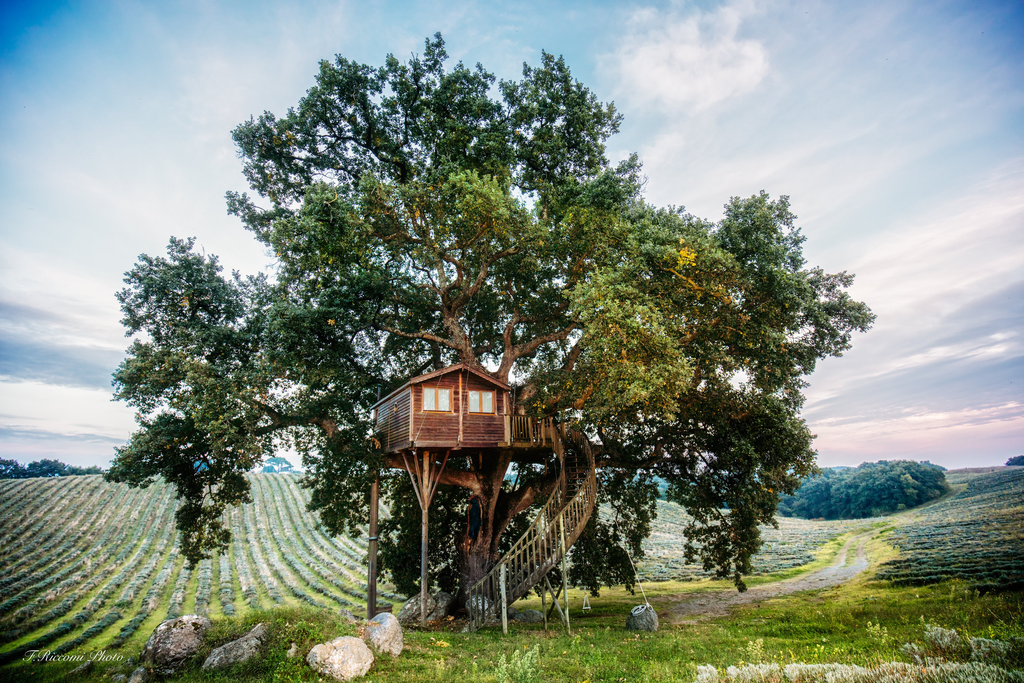 Дом дерево где находится. Отель «домик на дереве» в Харадсе, Швеция. «Дом на дереве» поселение Московский. Дом на деревьях Шотландия климанрюк. Домик на дереве Италия.