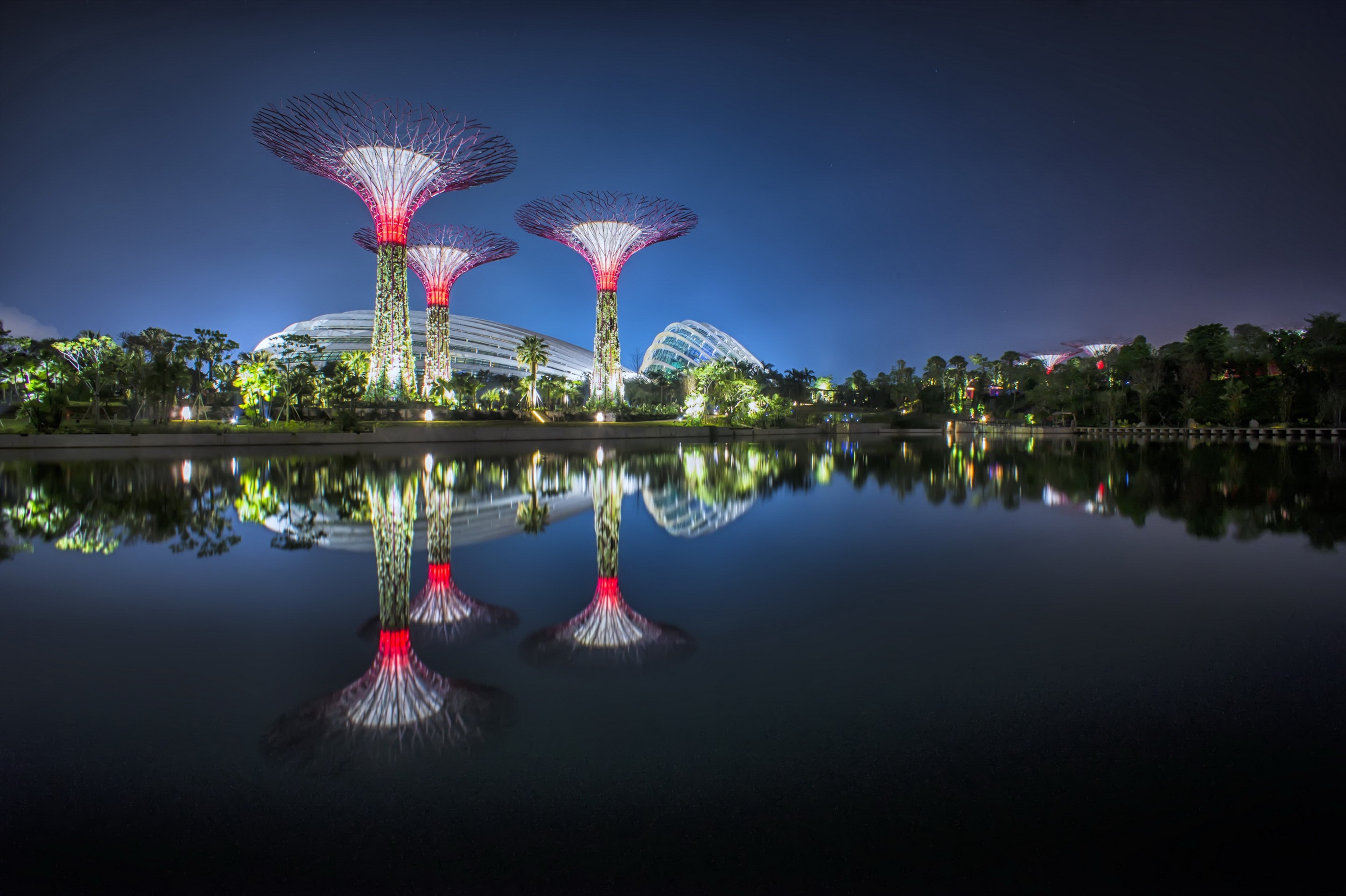 Future park. Гарден Бэй Сингапур. Сингапур парк сады у залива. Гарденс бай Бэй в Сингапуре.