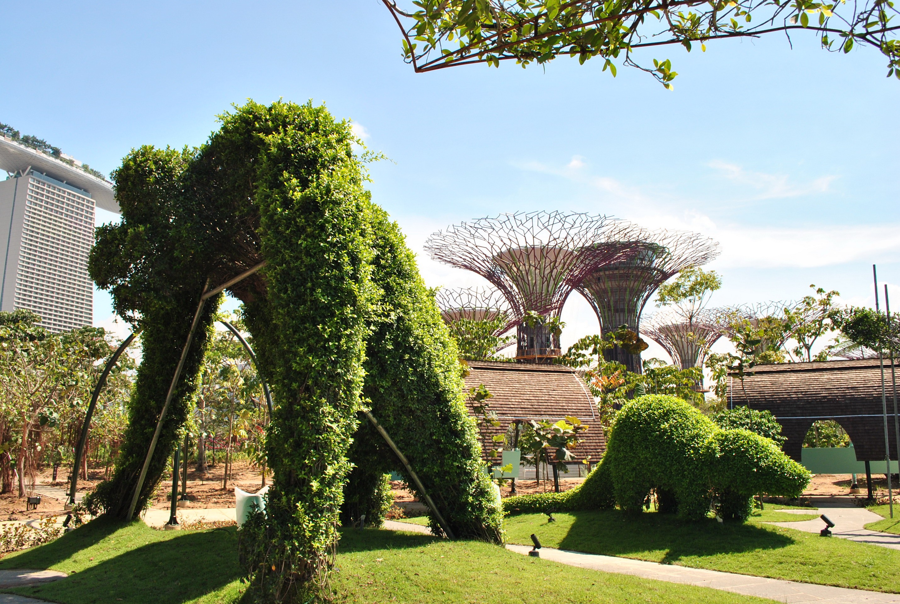 Какой парк с интересным названием благоустроили. Роща супердеревьев Сингапур. Сингапур Ботанический сад. Гарденс Бэй Бэй Сингапур. Сингапур парк сады у залива.