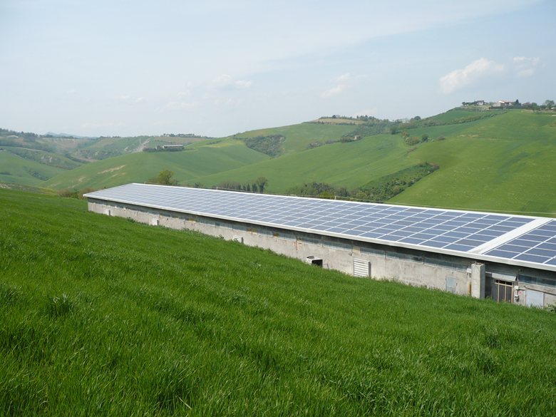 Fotovoltaico su allevamento avicolo 