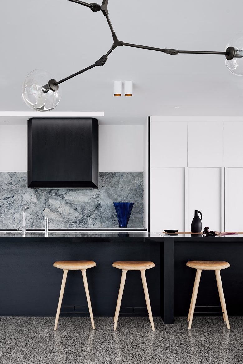 Williamstown House Picture gallery 4