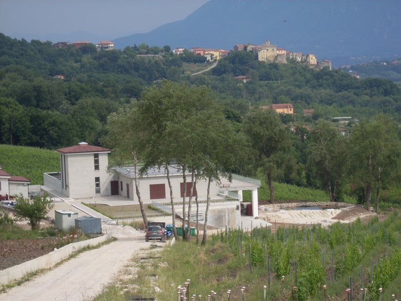 Azienda vitivinicola 
