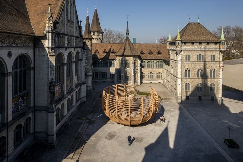 Arena for a Tree, Zurich