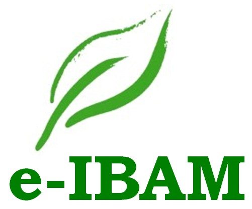 e-IBAM: energy for Italy and Brasil, Argentina, Mexico
