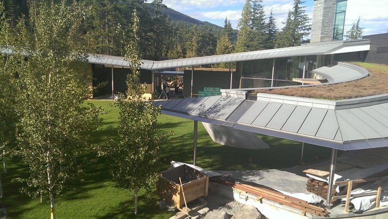 Free Form Zinc Roof System