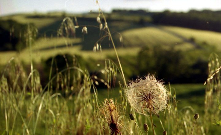 edilizia sostenibile