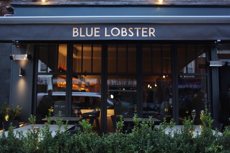 Blue Lobster 