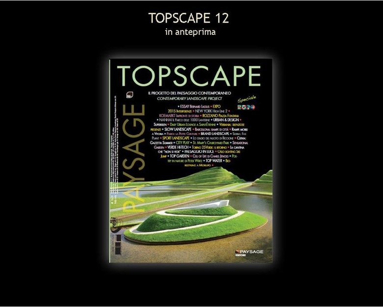 Topscape 12