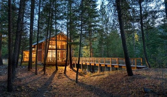 Hendrick Kganyago cabin in the woods