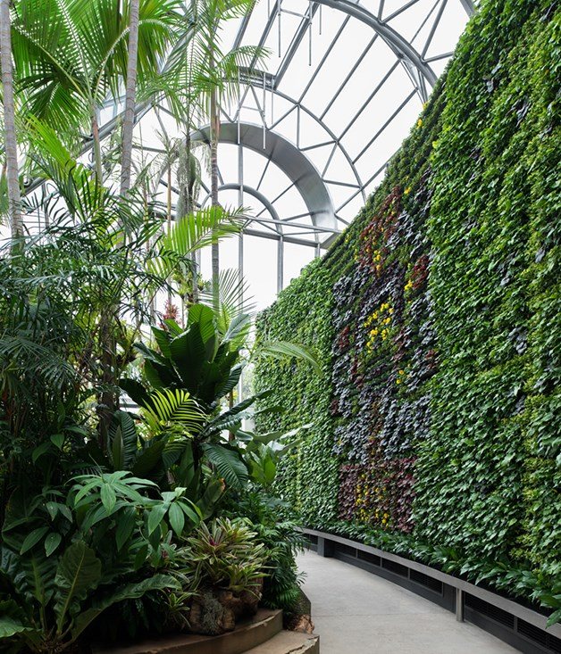 Largest Living Vertical interior garden (green wall) in the Southern Hemisphere.