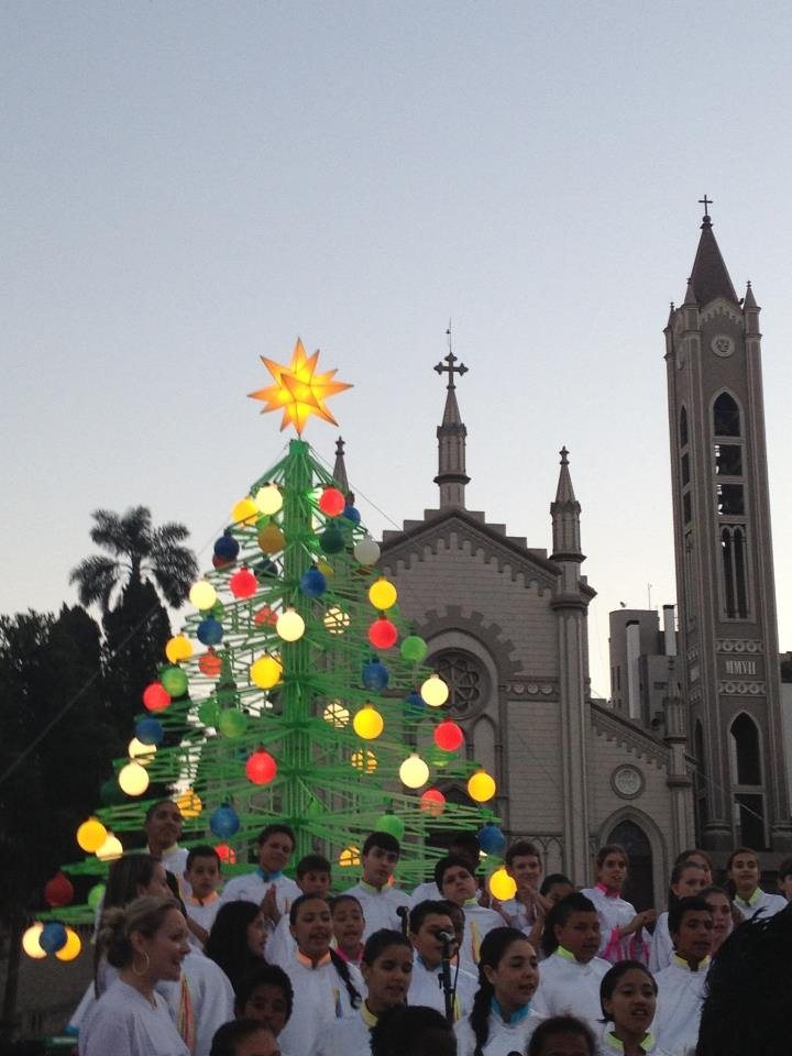 Christmas Tree in Brazil