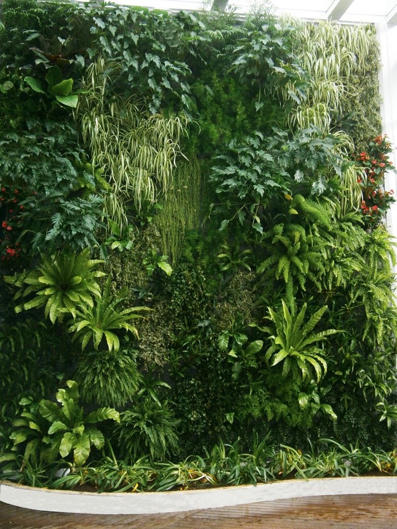 vertical garden, green wall, giardini verticali