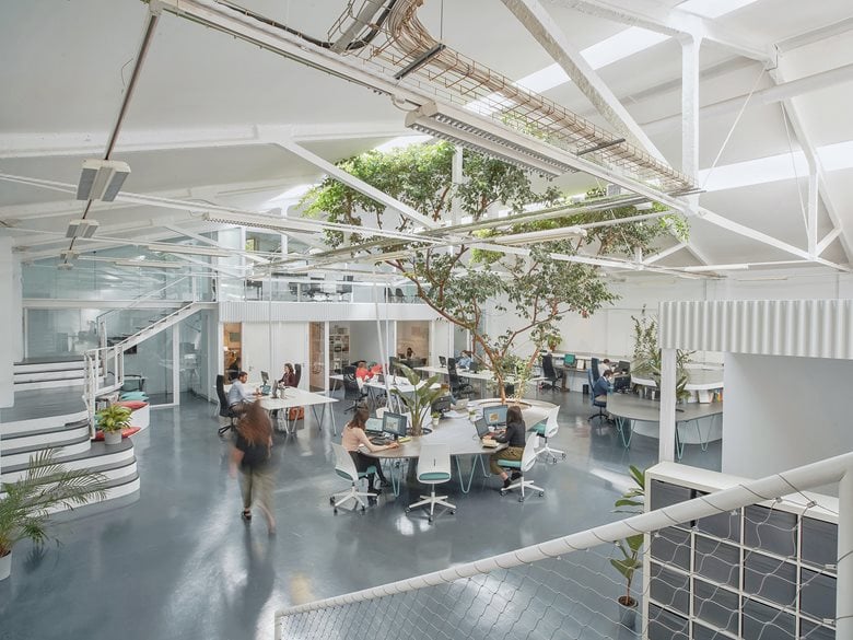 Ficus Office