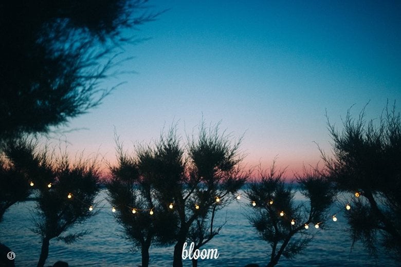 Bloom beach bar