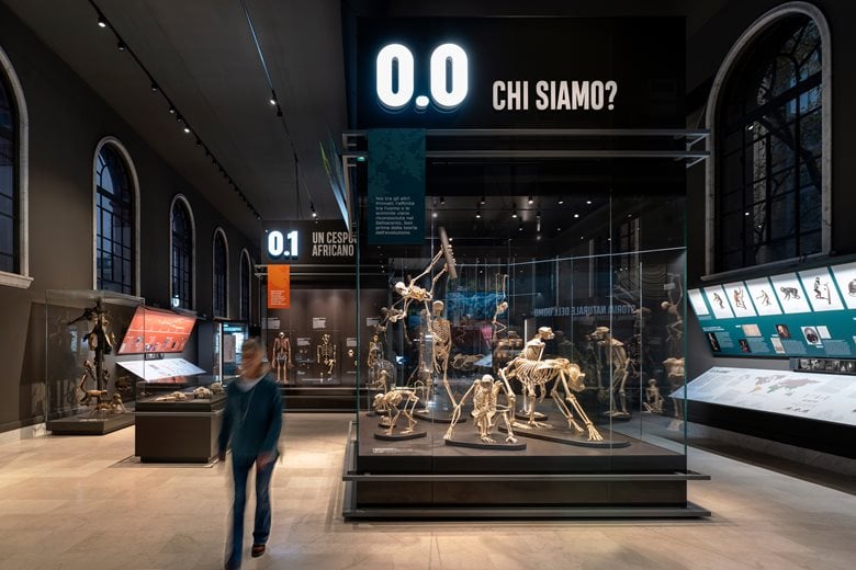 Sala sull’evoluzione umana | Museo di Storia Naturale di Milano