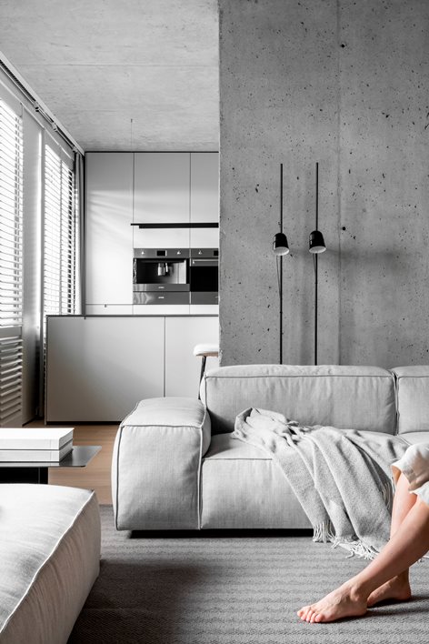Nordic flat | line architects