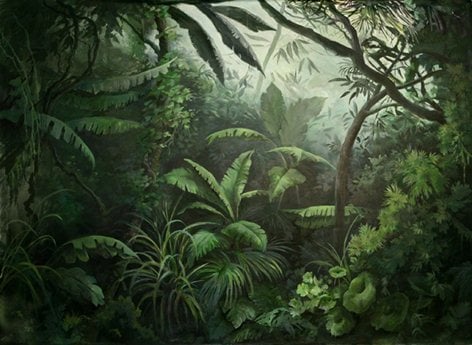 Jungle Trompe L'oeil