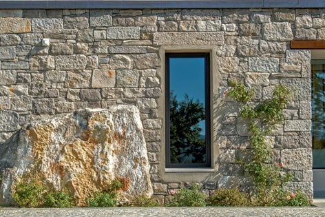 Un antico ulivo è il vero padrone di casa 