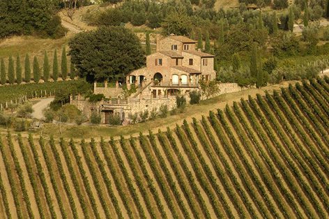 Farmhouse in a Tuscan vineyard