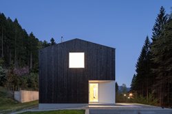 Villa in the Black Forest