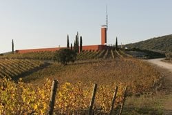 Rocca di Frassinello Winery