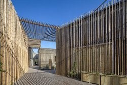 Bamboo Courtyard Teahouse