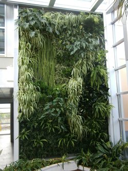 Vertical garden, giardini verticali, green wall