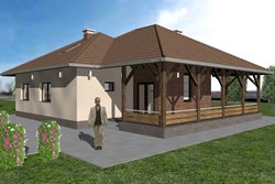 Architectural design of traditional house - Stanojcic
