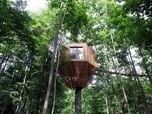 ORIGIN - treehouse