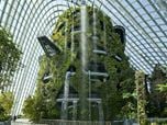 Cooled Conservatories at Gardens by the Bay