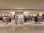 New Lingerie Selected  Store by Knott, Inc. - Taipei, Taiwan