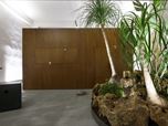 Jungle Office