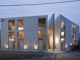 Skeleton House: concrete against functional flexibility