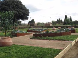 Design a “historical” garden: in Rome to protect the underground Nero’s Domus Aurea