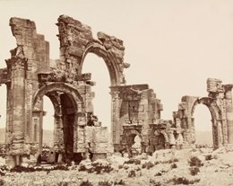 The Architectural Splendor of Palmyra