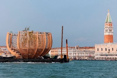 Arena for a Tree. Klaus Littmann’s art intervention for the 60th Venice Art Biennale 