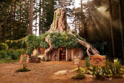 Would you spend a night in Shrek’s Swamp? Now you can!